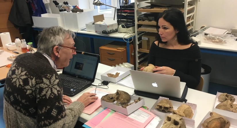 The scientists analyze the baboon skulls at the Musée des Confluences in Lyon © Stéphanie Porcier.